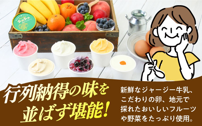 【12回定期便】シュシュ 定番ジェラート8個セット / アイス アイスクリーム ジェラート スイーツ /  大村市 / おおむら夢ファームシュシュ [ACAA412]
