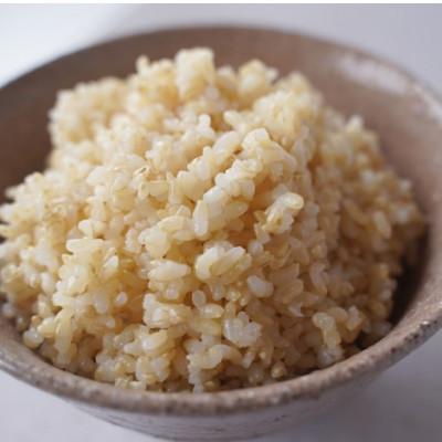 ふるさと納税 藤岡市 有機こしひかり【玄米】500g×20袋(令和7年産) |  | 01