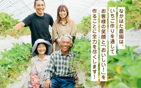 【数量限定】 冷凍 いちご 計1.5kg ( 500g × 3P ) 熊本県産いちご 山都町産いちご 家庭用いちご フローズンいちご いちご国産いちご 熊本県産いちご 九州産いちご 冷たいいちご 冷凍