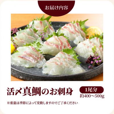 ふるさと納税 延岡市 延岡産活〆真鯛のお刺身400g〜500g |  | 01