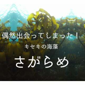 20-78超保湿スキンケア「さがらめパック（肌嬉フェイスマスクSR）15枚入」 冬の肌ケア対策に_イメージ5
