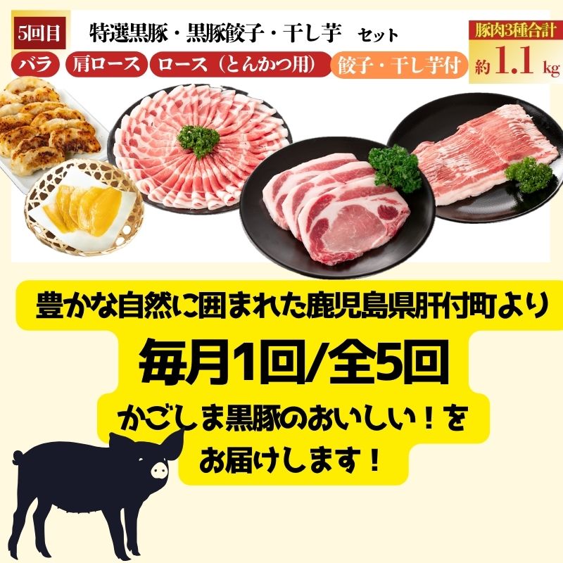 【E02007】『かごしま黒豚ふるさと定期便』バラエティーセットB・5回_イメージ4