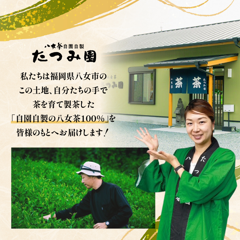 【たつみ園】八女茶 玉露入り 煎茶 ティーバッグ 5g×10個 3袋セット【メール便】 お茶 手軽 ティーバッグ 美味しい 緑茶 ギフト 煎茶 まろやか お取り寄せ 玉露 福岡県 八女市