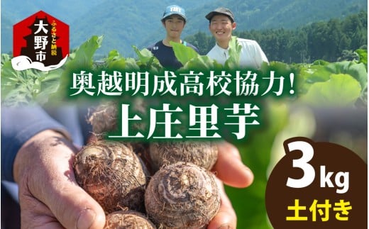 【先行予約】奥越明成高校協力!!　旨味たっぷり上庄の里芋【土付】3kg【11月10日より順次発送】