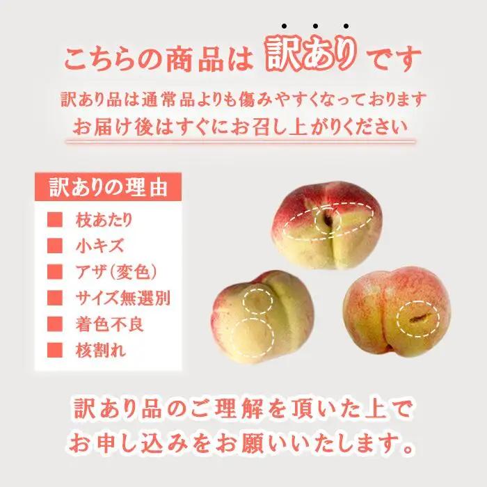 【2026年発送★先行予約】訳あり桃×訳ありシャインマスカット　1.5㎏～2㎏　桃1㎏以上～　シャインマスカット500g以上 ※クール便　154-048-26y
