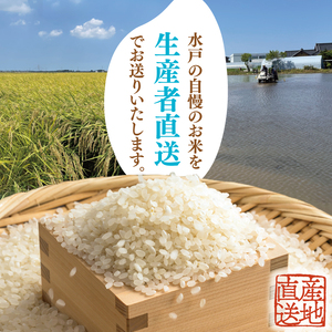 【数量限定】【令和6年度産】茨城県産コシヒカリ 5kg【米 おこめ こしひかり 農家直送 直送 水戸市 茨城県】(ND-2)