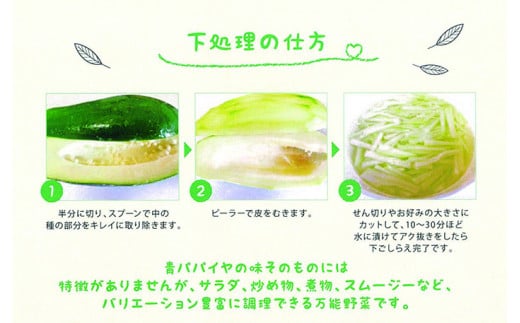 ＜先行予約＞ 酵素の王様 フレッシュ 青パパイヤ 合計3kg (約500g×5～6個)  パパイヤ ビタミン ミネラル アミノ酸 食物繊維 ポリフェノール 野菜 食品 F20E-697