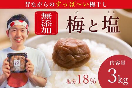 【常温保管可能 】ミネラル豊かな天日塩だけで漬けた無添加梅干し3kg／南高梅 umehkr007