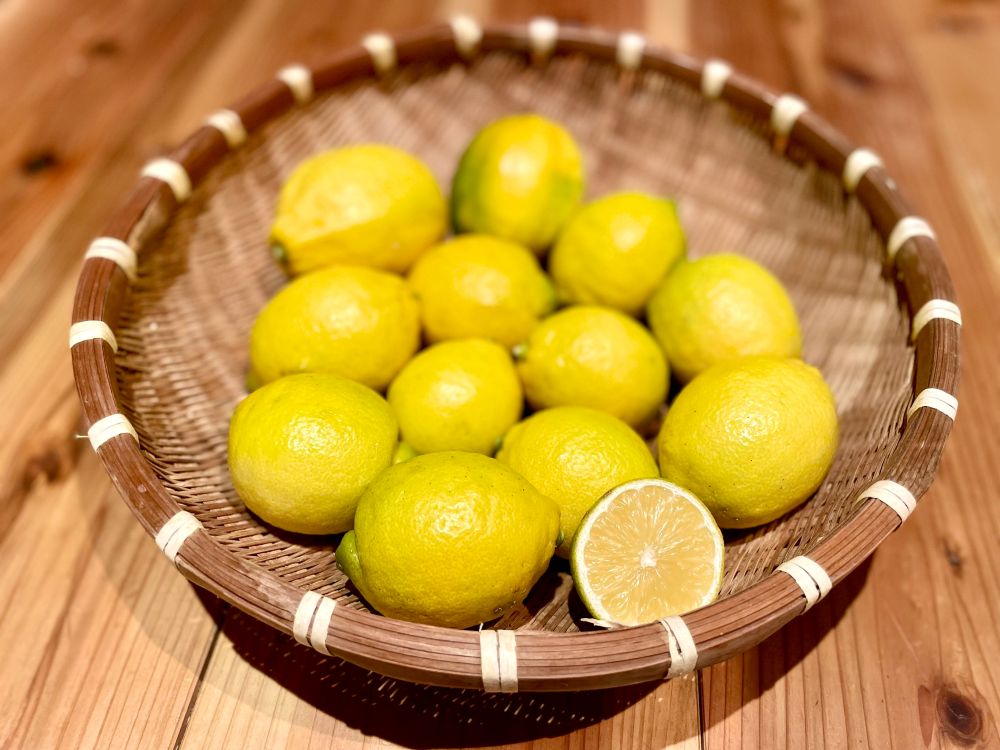 【ふるさと納税】自然農レモン 2kg
