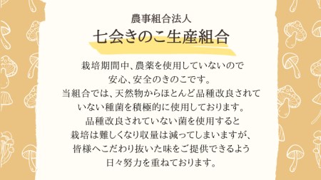 きのこ の 詰め合わせ Sサイズ 約1000g【茨城県共通返礼品 城里町】 キノコ 舞茸 あわび茸 たもぎ茸 しいたけ ぶなしめじ [CX001sa]