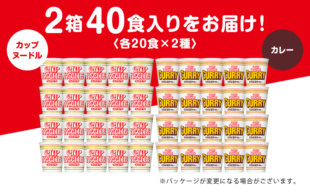 日清ヌードル2種セット カップヌードル・カレーヌードル各20食 ラーメン 麺 即席麺 麺類 カップ麺 インスタント カップラーメン