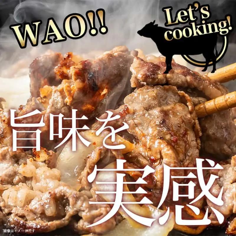 宮崎牛切り落とし600g〔AA-89-006-600g〕_(都城市) 国産黒毛和牛 ブランド牛 牛肉 宮崎牛切落とし肉 300g×2パック 計600グラム 牛丼や炒め物などに 万能 冷凍 国産 九州産