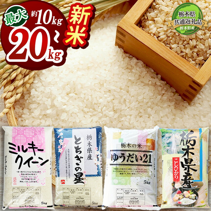【ふるさと納税】米 お米 新米 栃木県産 コシヒカリ ミルキークイーン ゆうだい21 とちぎの星 10kg 20kg (5kg×2袋,4袋)【先行予約】【選べる品種・内容量・発送月・定期便】| お米 精米 白米 特A お買い得 送料無料 訳あり 栃木県共通返礼品 栃木県 下野市