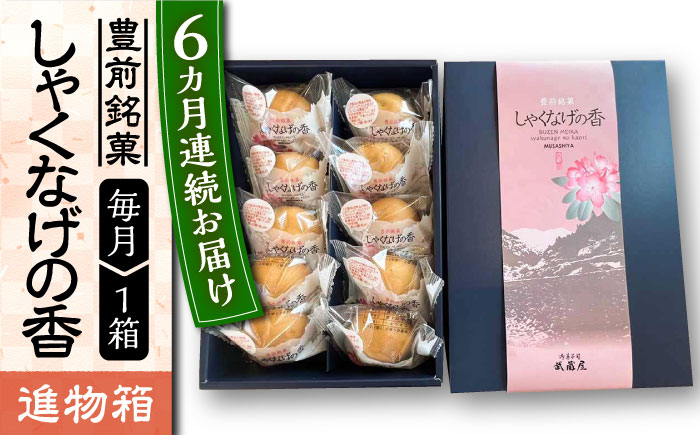 
            【全6回定期便】【進物箱】しゃくなげの香 10個入り《豊前市》【武蔵屋】お中元 ギフト 贈り物 和菓子 [VBU021]
          