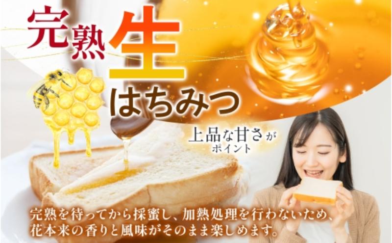 はぁもにぃ 養蜂部のはちみつ さとのはな 90g×2個 蜂蜜 ハチミツ 完熟 生はちみつ 非加熱 千葉県産 里山 花の蜜 百花蜜 ギフト 送料無料 千葉県 千葉市