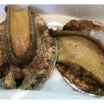 【2ヵ月毎定期便】竹中水産の大アワビ(400g)+アジ又は小鯛付き400g【H22-288】全3回【配送不可地域：離島・北海道・沖縄県】【4076449】