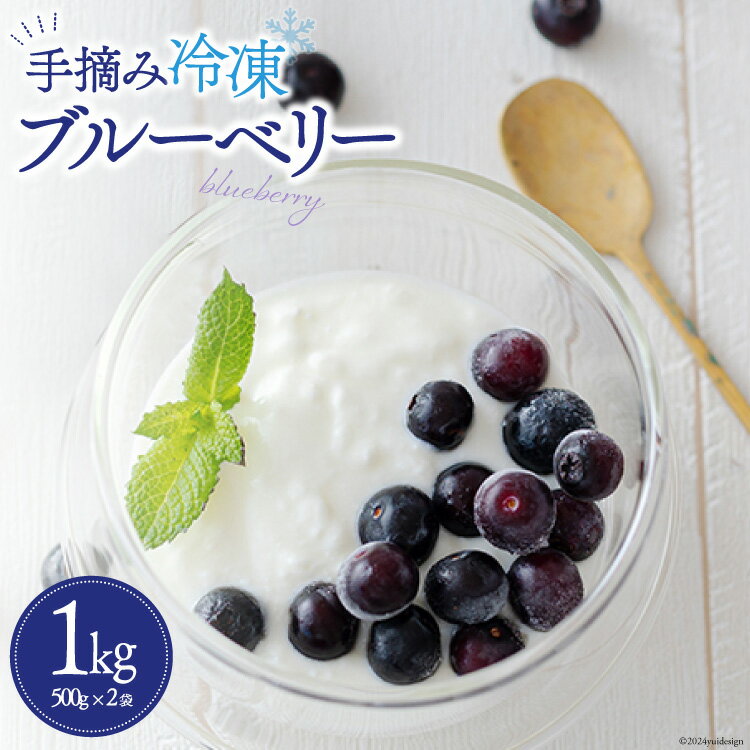【ふるさと納税】 ブルーベリー 冷凍 500g × 2袋 1kg [農林産物直売所 美郷ノ蔵 宮崎県 美郷町 31ab0135] 国産 手摘み 小分け ヨーグルト 宮崎県産 おやつ お菓子 朝ごはん 朝ご飯