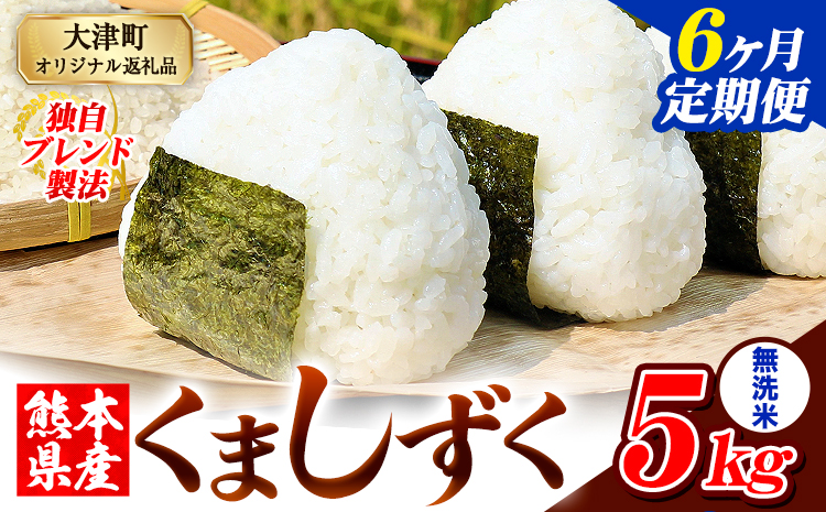 【6ヶ月定期便】無洗米 熊本県産 ブレンド米 くましずく 5kg 熊本県産 ふるさと納税 無洗米 米 こめ ふるさとのうぜい コメ お米 おこめ《お申し込み月の翌月から出荷開始》