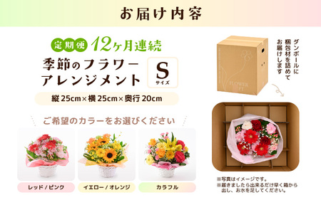 定期便 ≪12ヶ月連続お届け≫ 季節のフラワーアレンジメント S (カラフル) 花束 生花 プレゼント [J-20703_03]