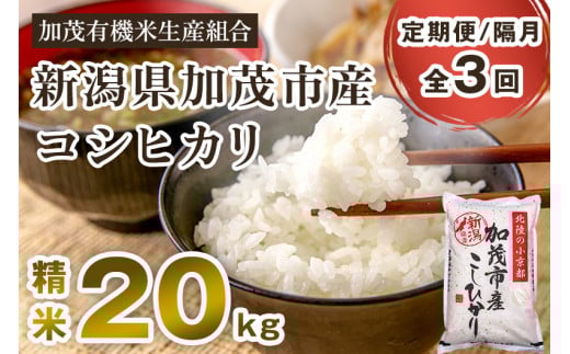 【令和7年産】【定期便3回隔月お届け】新潟県加茂市産コシヒカリ 精米20kg（5kg×4）《順次出荷》白米 加茂有機米生産組合 定期便