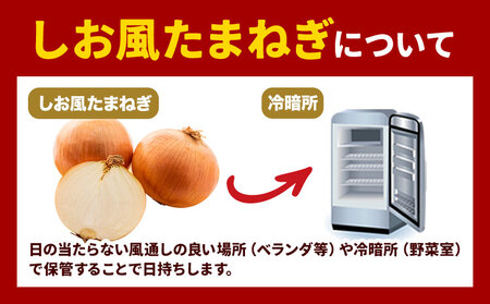 しお風玉ねぎ 約5kg　たまねぎ 玉ねぎ