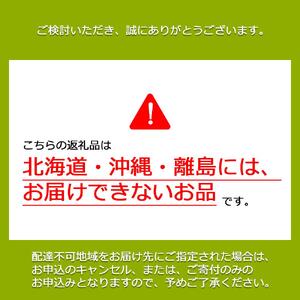 【先行予約　2025年9月上旬発送〜】岡山県産シャインマスカット 1.0kg（2〜3房）［021-a019］