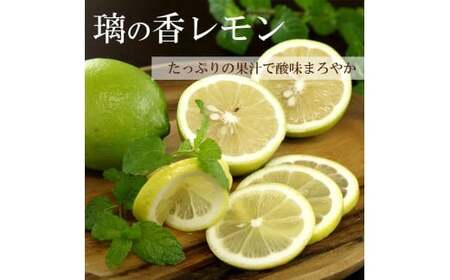 レモン 約5kg 12～25個 璃の香レモン 果物 くだもの 柑橘 フルーツ れもん お取り寄せ 産地直送 おいしい 美味しい 白木果樹園 常温 配送 高知県 高知 土佐市