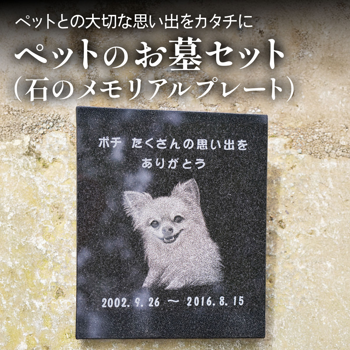 【ふるさと納税】《成瀬石材店》ペットのお墓セット (石のメモリアルプレート) [0434]