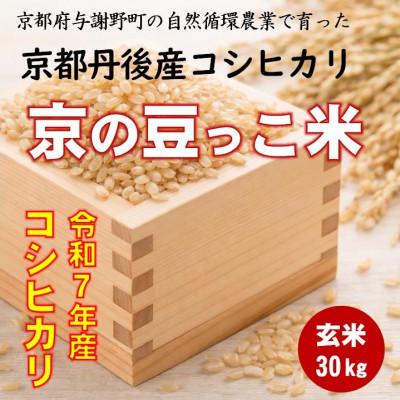 ふるさと納税 与謝野町 令和7年 京都府産「京の豆っこ米」 玄米30kg　おいしい丹後のコシヒカリ　農家直送