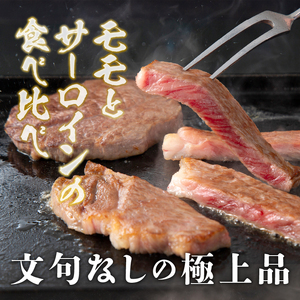 前沢牛ステーキ食べ比べ 合計480g（サーロイン・モモ 各120g×2枚） ブランド牛肉[U0074]