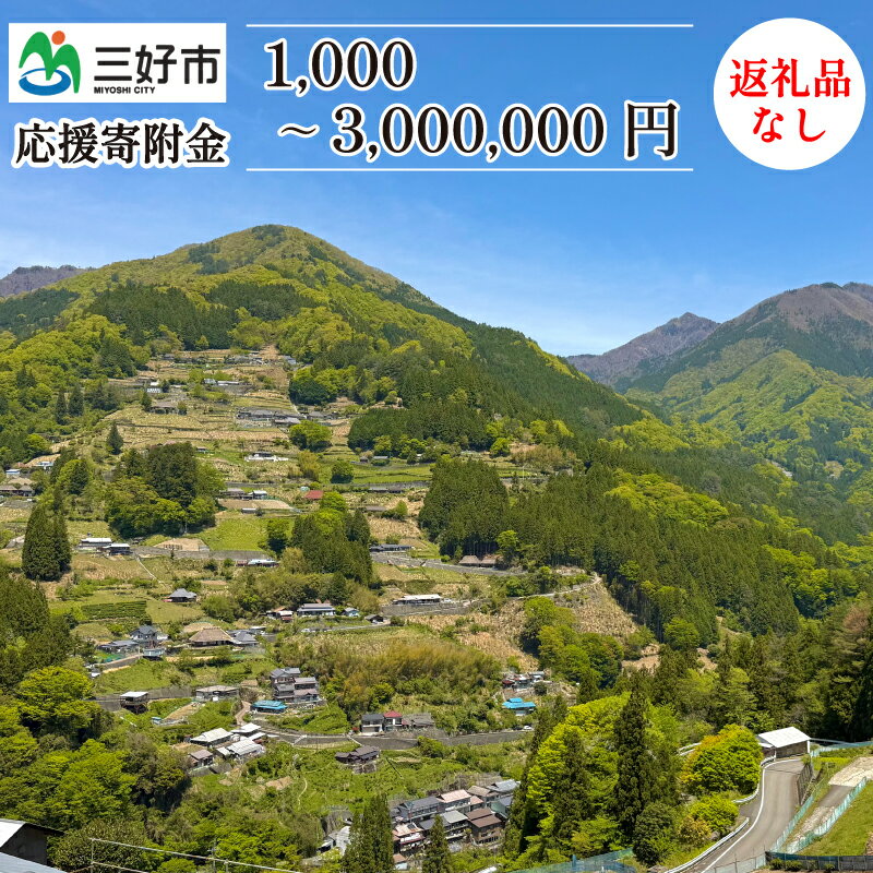【ふるさと納税】 【 返礼品なし 】 1,000円 ～ 3,000,000円 徳島県 三好市 への 寄附 応援寄附金