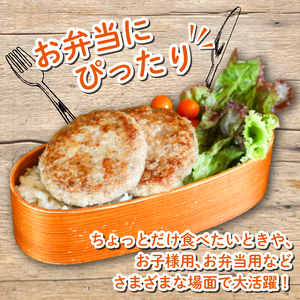 お弁当サイズのハンバーグ 約80g×5個 卵と牛乳不使用 国産 お弁当