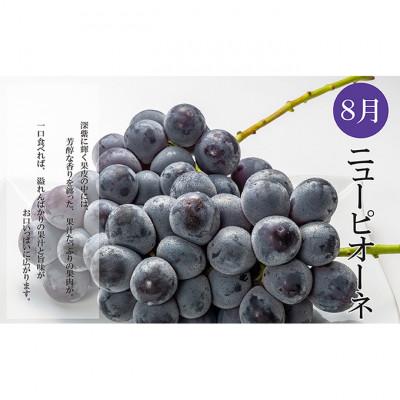 ふるさと納税 綾川町 【発送月固定定期便】夏のいいとこどり定期便(7・8・9月発送) [54010343]全3回 |  | 02