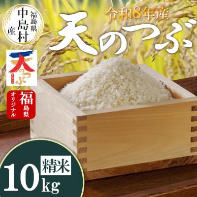 ふるさと納税 中島村 令和8年産 中島村産 天のつぶ 精米 10kg