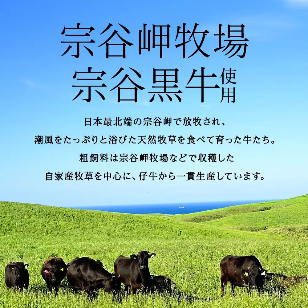 【稚内ブランド認定品】宗谷岬牧場のハンバーグ　120g4枚入×3箱(合計12枚)【配送不可地域：離島・沖縄県】