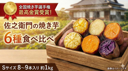 佐之衛門の焼き芋　6種食べ比べセット　Sサイズ8～9本（1kg程度）