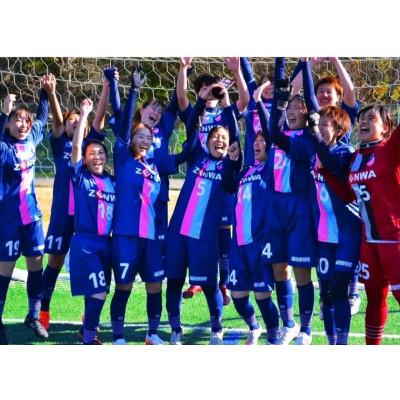 ふるさと納税 小山市 「ラプレ小山」 応援グッズ《のぼり旗2枚(ピンク・水色 各1)》お礼の手紙付き |  | 01