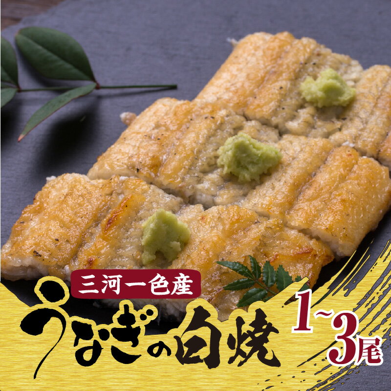 【ふるさと納税】＼土用の丑の日対応／うなぎの白焼【選べる尾数（1～3尾）】 国産 蒲焼 タレ 秋 旬 山椒 真空 真空パック 冷蔵 お手軽 人気 ギフト 贈り物 プレゼント 食べ物 食品 おすすめ グルメ お取り寄せ お取り寄せグルメ 鰻 三河一色産 送料無料