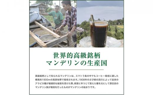 【粉】#906 インドネシア・マンデリン ミトラ G1 コーヒー豆 310g 当日焙煎 大山珈琲