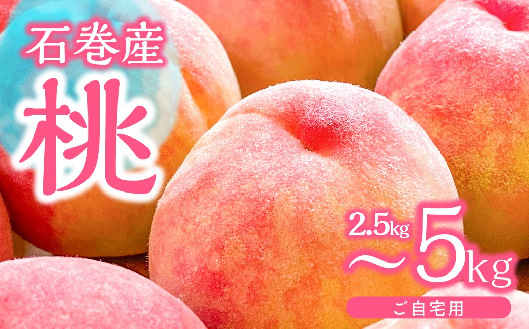 
                  ≪先行予約 2026年発送≫ 石巻産桃 【選べる 2.5kg ~ 5kg】桃 もも モモ フルーツ 桃 もも モモ 果物 白鳳 日川白鳳 清水白桃 川中島白桃 なつっこ 数量限定 期間限定 旬 人気 おすすめ 甘い 果物 美味しい 訳あり わけあり 2kg 3kg 5kg愛知県 豊橋市
                