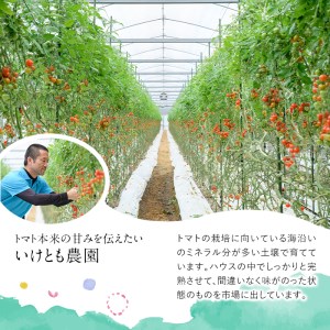 ＜先行予約受付中！2026年2～3月の間に発送予定＞訳あり 規格外 数量限定 門川町産 ミニトマト(計2kg)  訳あり 規格外 数量限定 門川町産 ミニトマト 期間限定 生活応援 とまと 野菜 ミッ