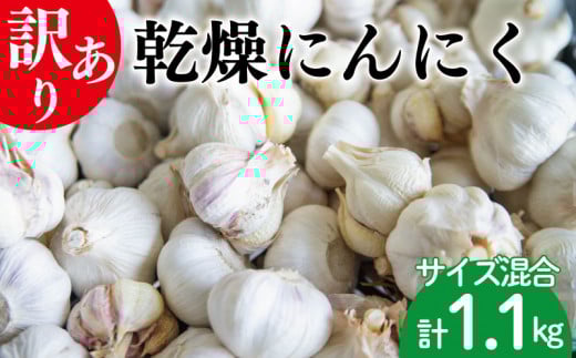 訳あり にんにく 乾燥 1kg 以上 完熟 サイズ混合 国産 おすすめ 野菜 薬味 不揃い ハーブ スタミナ 健康食品 食材 長期保存 阿波市 徳島県