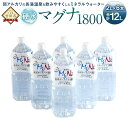 【ふるさと納税】硬水ミネラルウォーター マグナ1800 2L×6本セット 合計12L 硬度900 ph8.6 硬水 ミネラルウォーター 弱アルカリ 温泉水 国産 長湯温泉 飲料水 水 竹田市 大分県 九州 送料無料