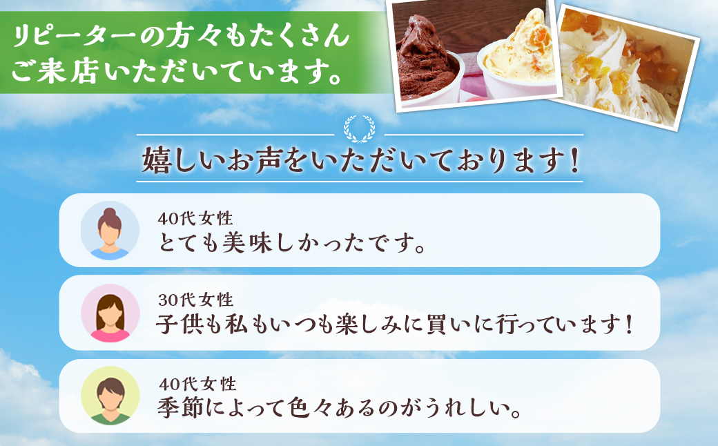 手作りアイス 8個セット