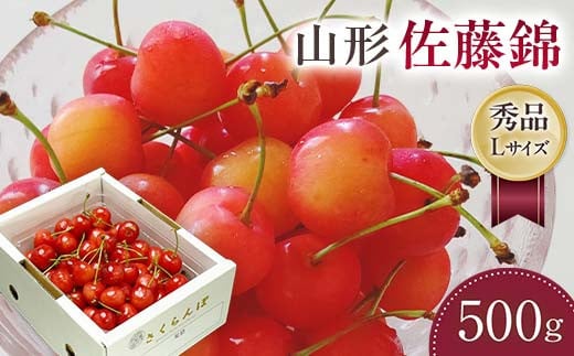 【さくらんぼ令和7年6月発送】山形県 佐藤錦 500gパック箱入り FSY-1154