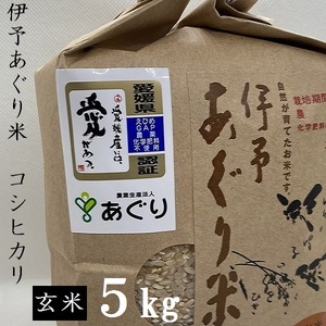 【新米】米 玄米 5kg 伊予あぐり米「コシヒカリ」 令和6年産 米 農薬・化学肥料不使用 ｜米 玄米 令和6年産 米 お米 こめ 農薬・化学肥料不使用 こだわりのお米  愛媛県 松前町 松前 まさき