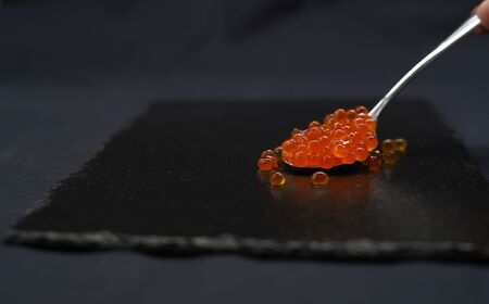【2025年産新物先行予約】北海道産 一度も冷凍していない いくら醤油漬 250g×4（令和7年10月より順次発送） 【 いくら イクラ イクラ醤油漬け いくら醤油 北海道 網走市 】 ABR027