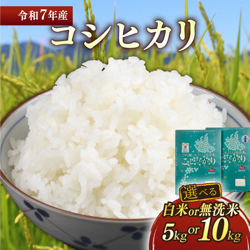 【ふるさと納税】 新米 令和7年 コシヒカリ 選べる容量 5kg 10kg 選べる精米方法 白米 無洗米 近江米 こしひかり 米 コメ こめ お米 精米 ご飯 ごはん 飯 彦根産 滋賀 彦根