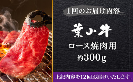 【全12回定期便】【葉山牛】300g　ロース焼肉用 ／ 牛肉 黒毛和牛 神奈川県 特産品【葉山牛ステーキレストラン 角車】[ASBD053]
