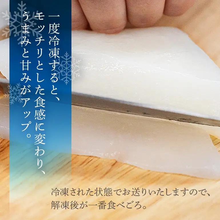 ソデイカ 約3kg いか  セーイカ